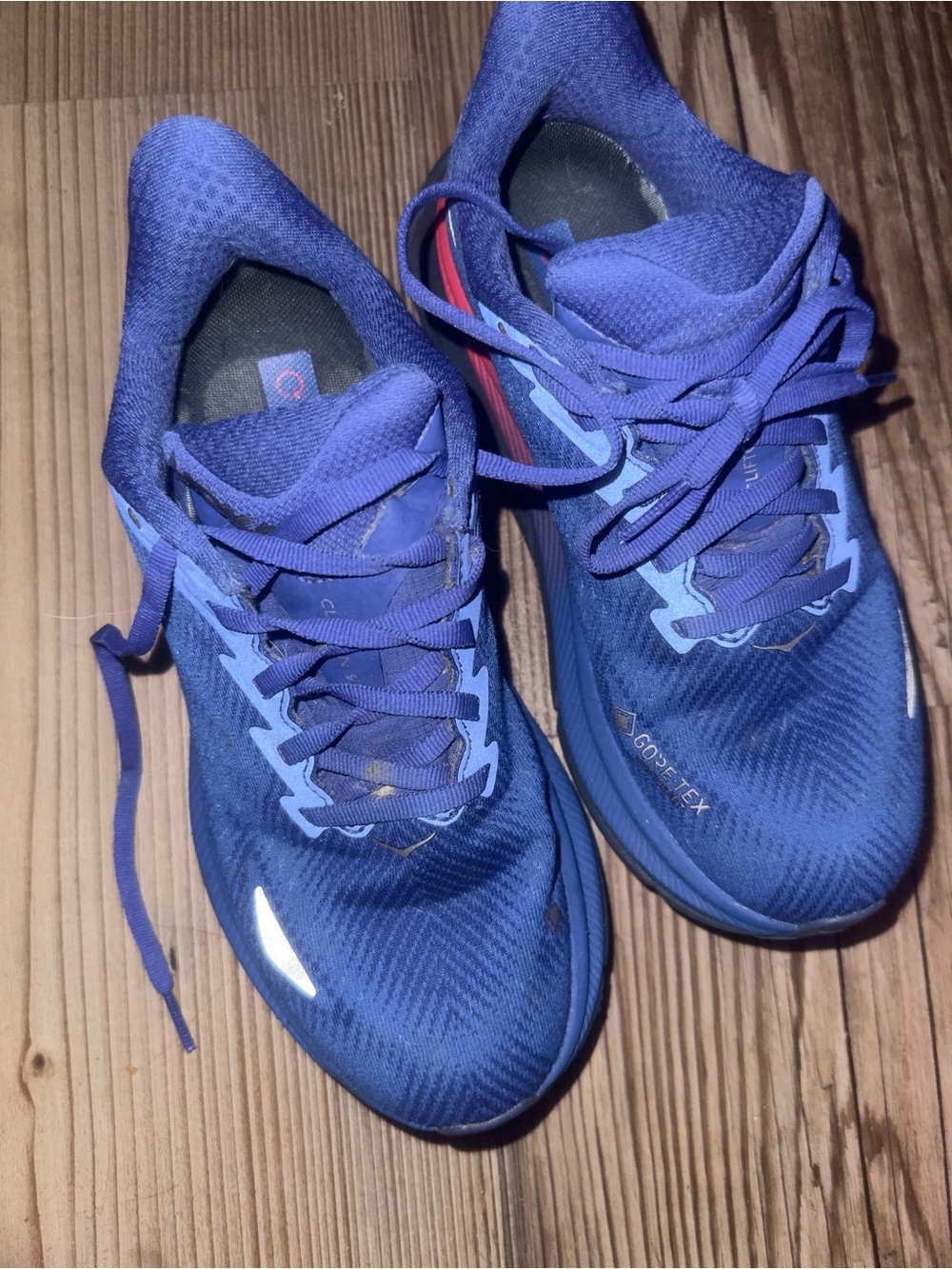 GORE-TEX Blue Running Shoes